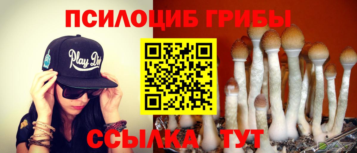 Псилоцибиновые грибы GOLDEN TEACHER  Псилоцибиновые грибы мицелий  Аргун  Вход с VPN 
