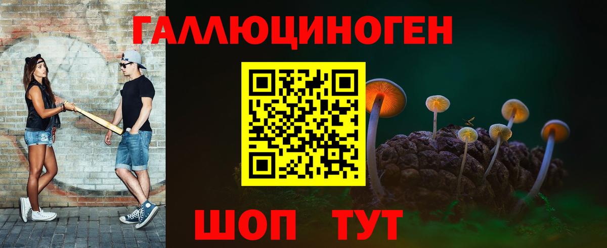 Псилоцибиновые грибы Psilocybe Аргун